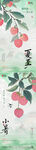 夏至小暑荔枝中式插画海报