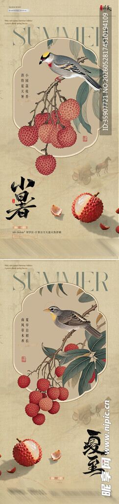 夏至小暑荔枝插画中式海报