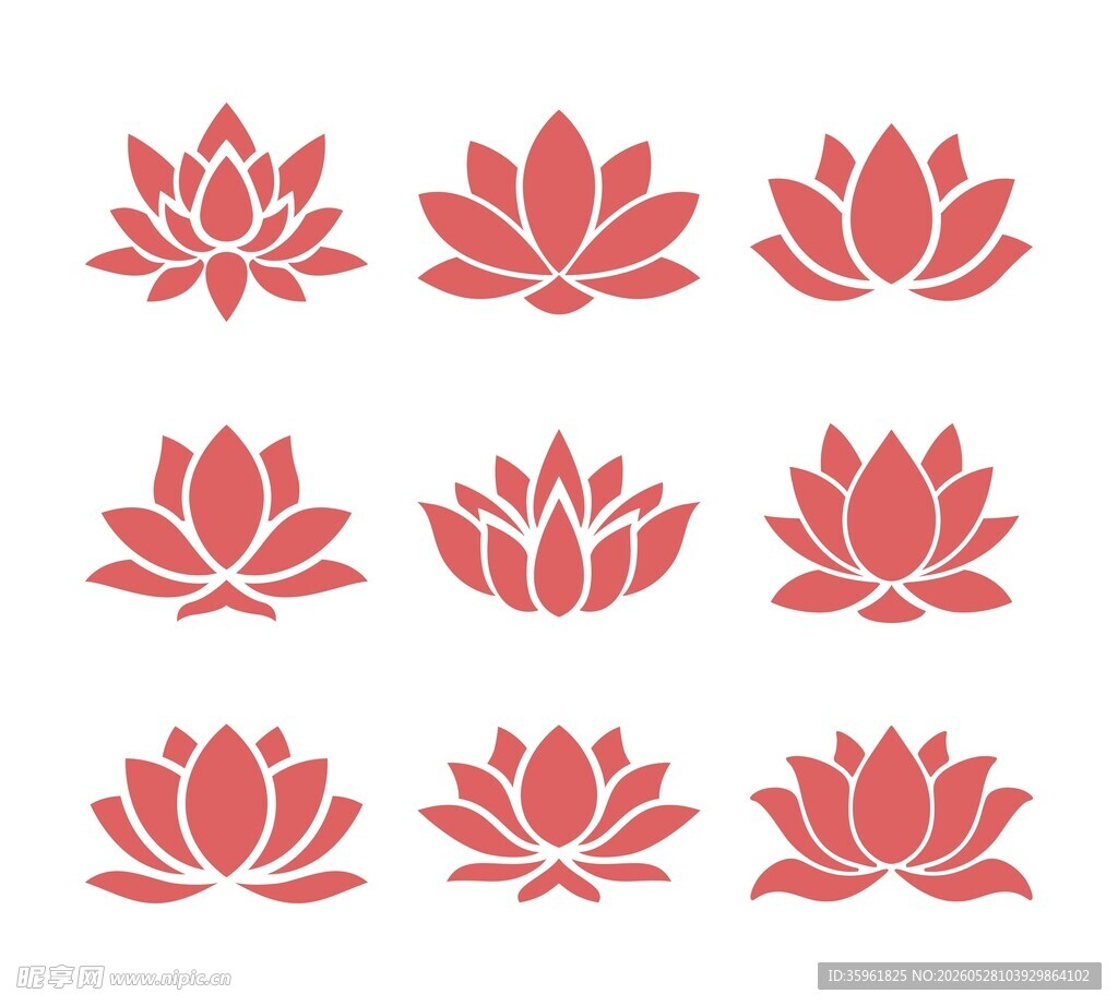 莲花图案合集