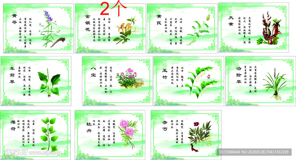 药材药草