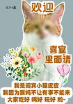 猫咪宠物迎宾牌婚礼引导牌