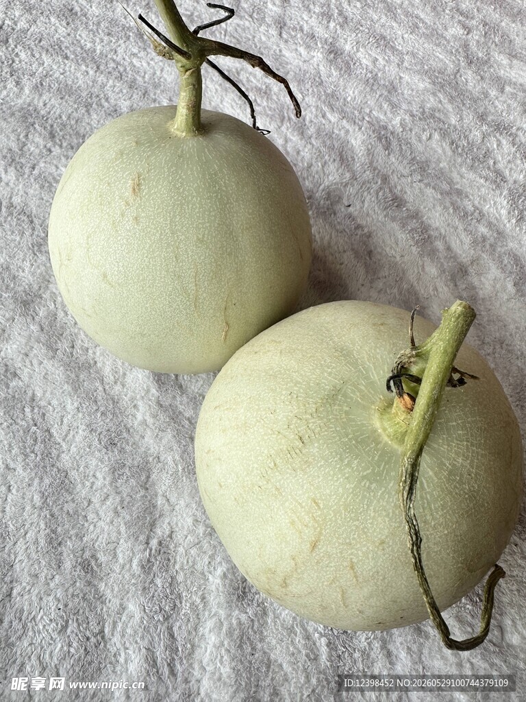 玉菇甜瓜