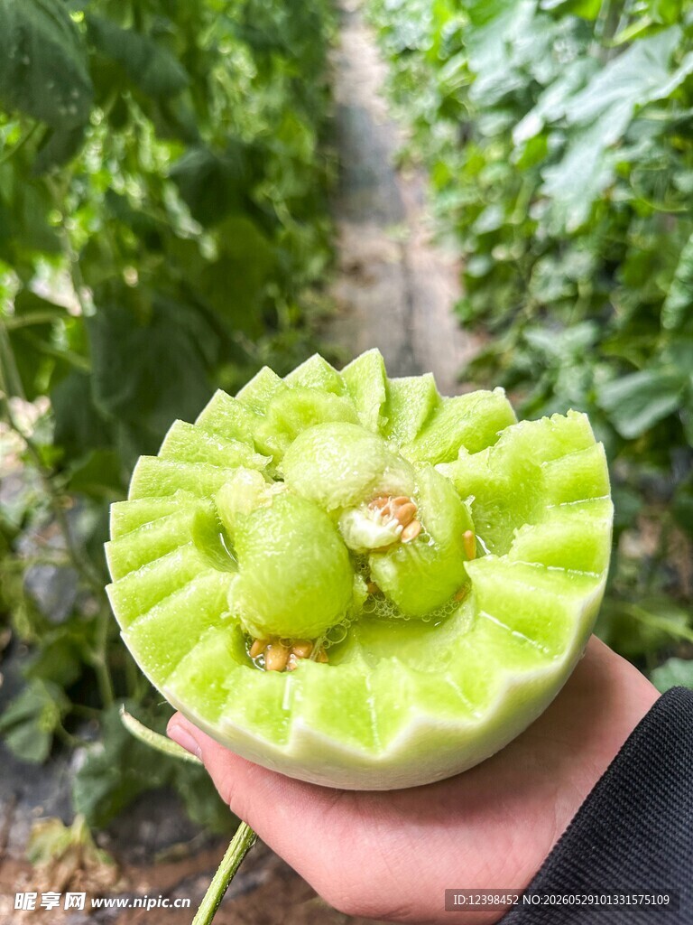 玉菇香瓜