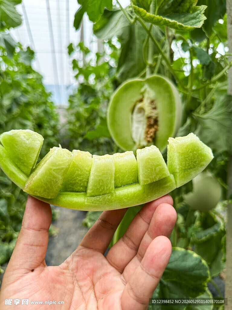 玉菇香瓜甜
