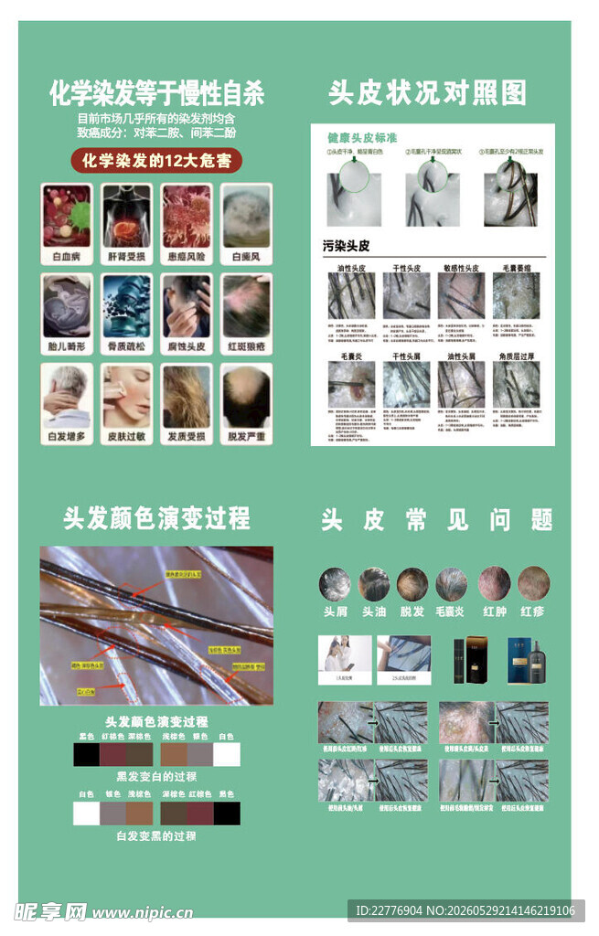 墨盛日集 头皮常见问题