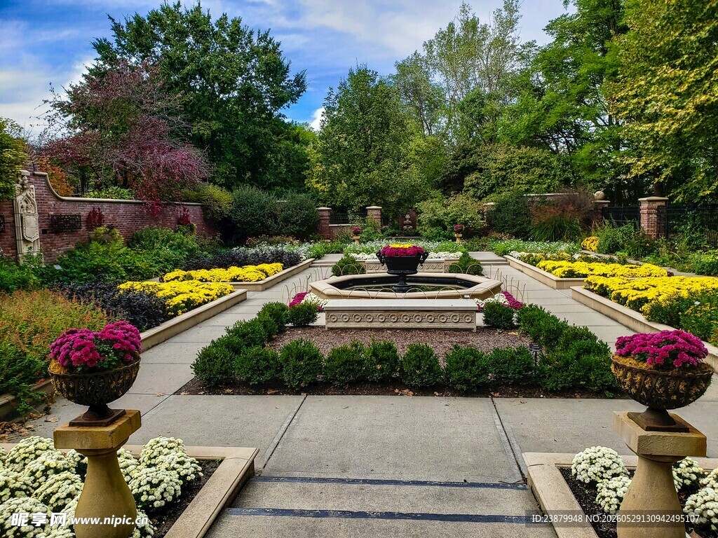 美丽花园景观