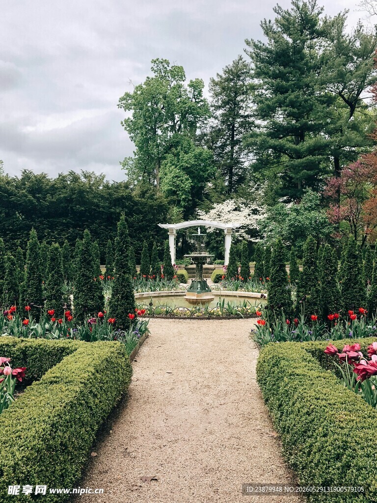优雅花园景观