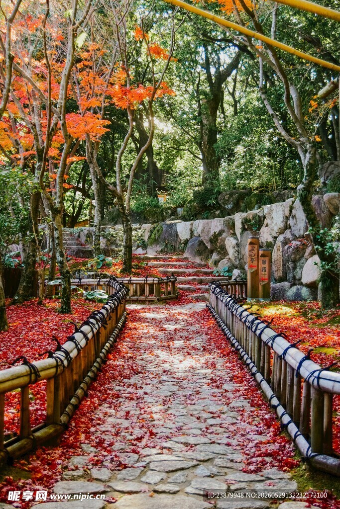 秋日林间步道铺就红叶景