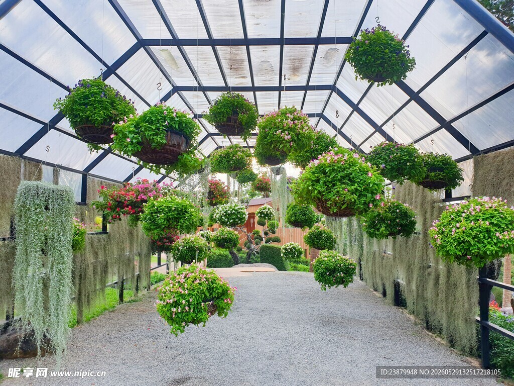 温室绿植长廊景观
