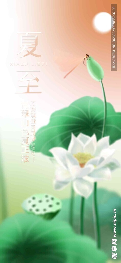夏至 