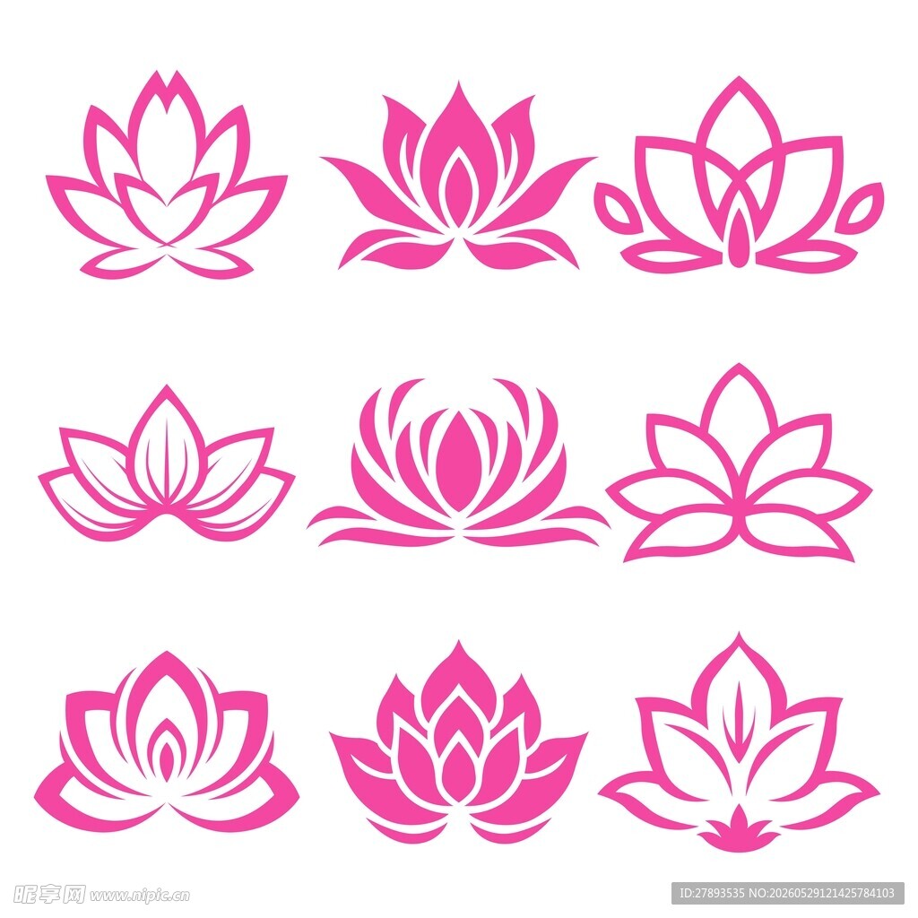 粉色荷花素材