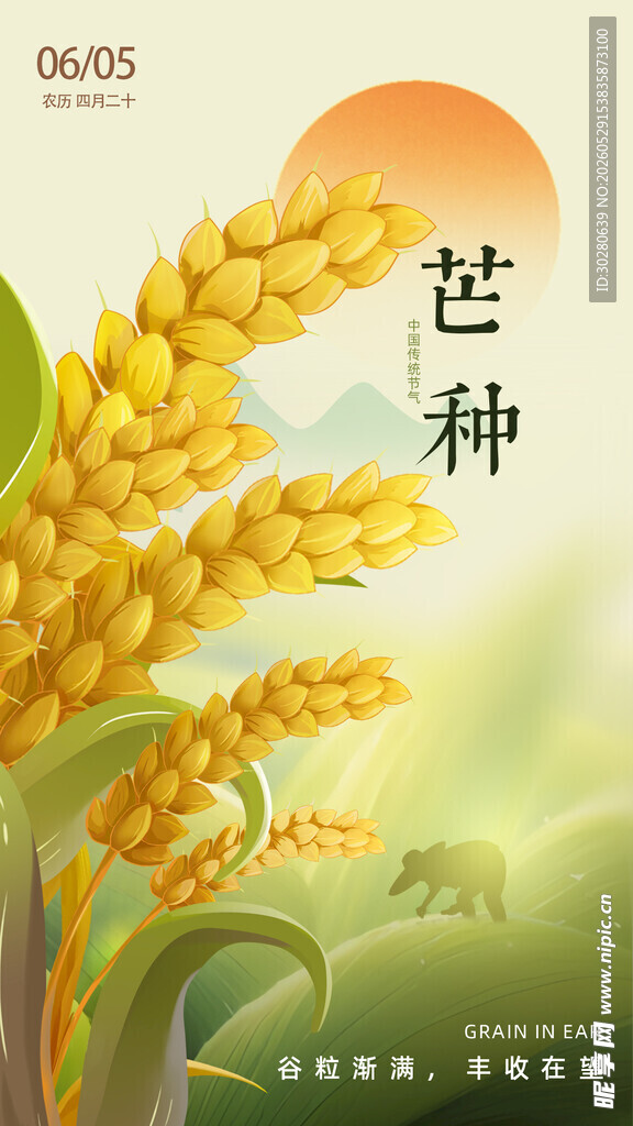 芒种             