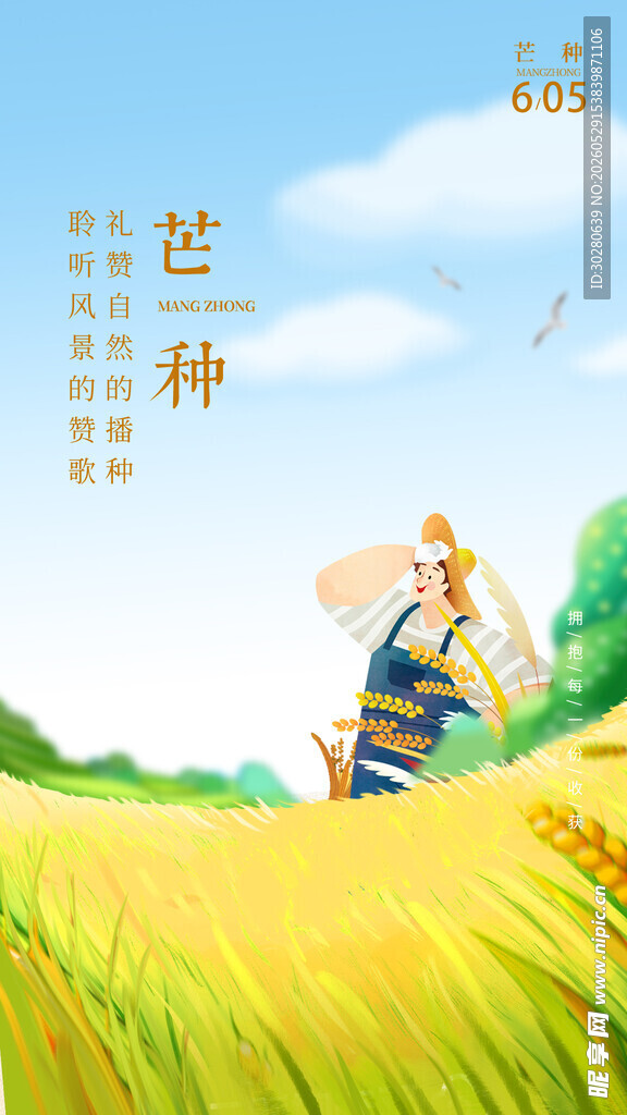 芒种             