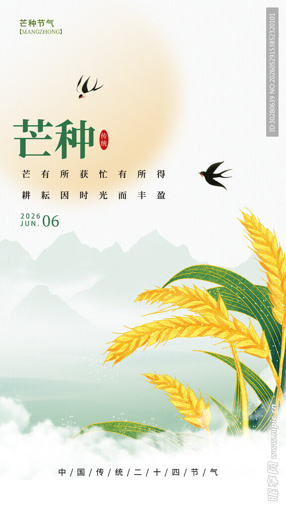 芒种             