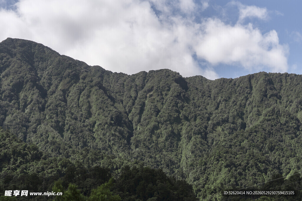 青山翠岭