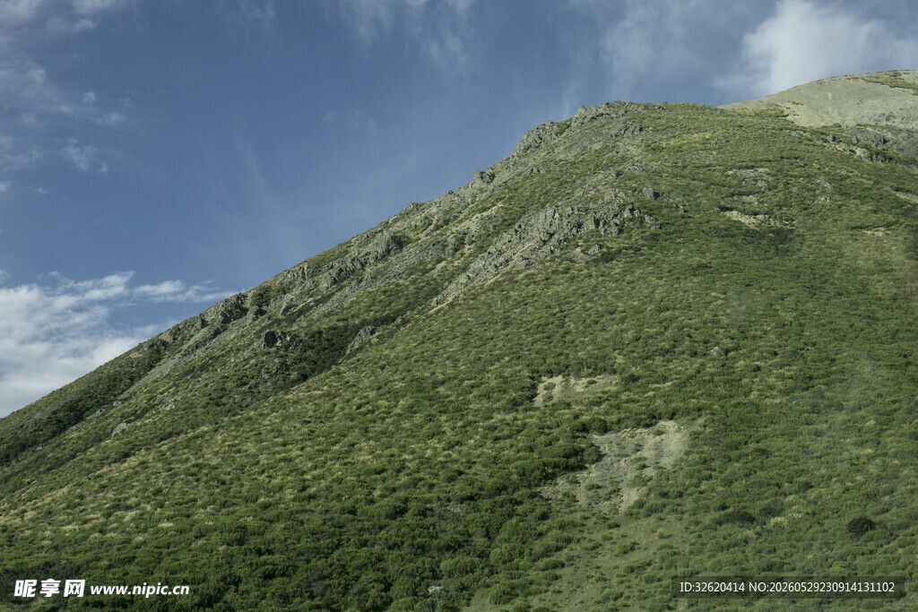 青山葱郁