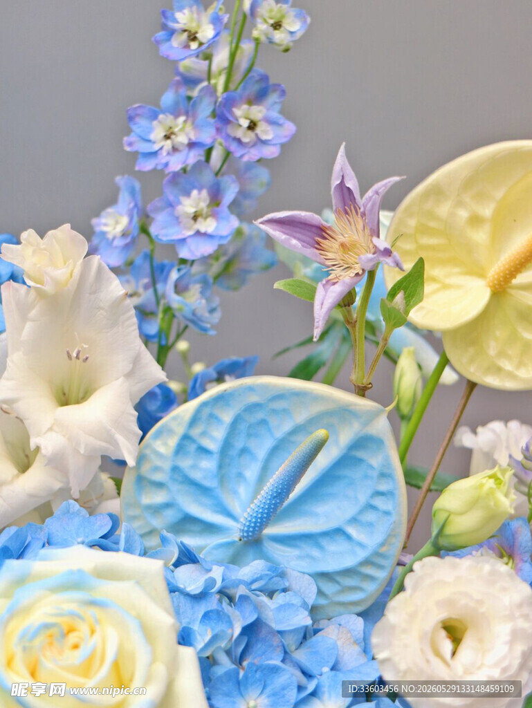 蓝白花卉组合