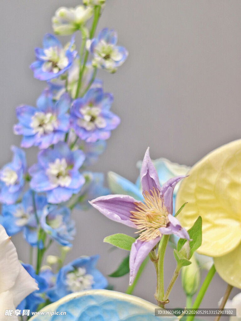 蓝紫花卉静物特写