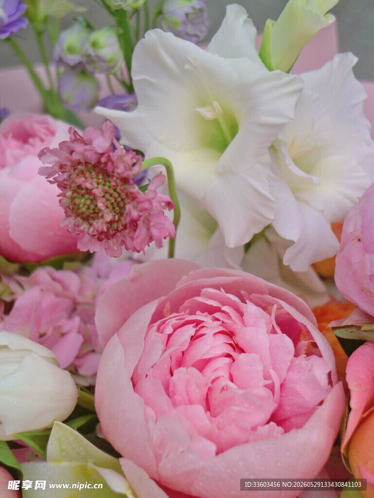 缤纷艳丽花卉组合