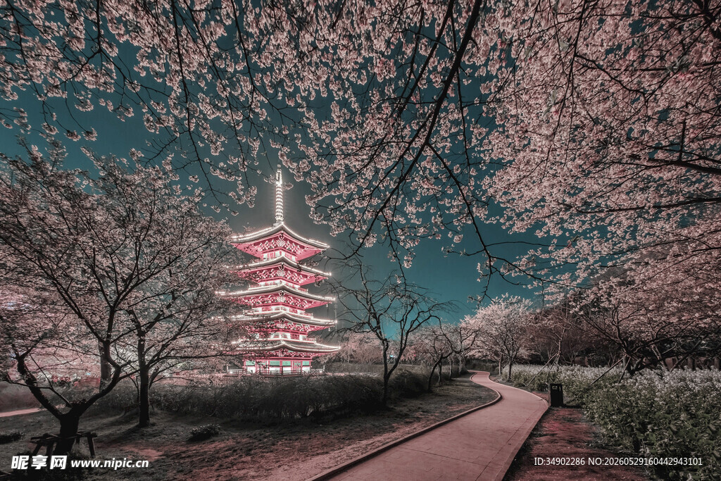 樱花下的东京塔美景