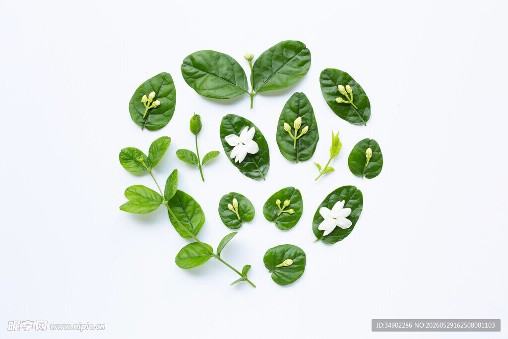 绿叶白花组成的心形图案