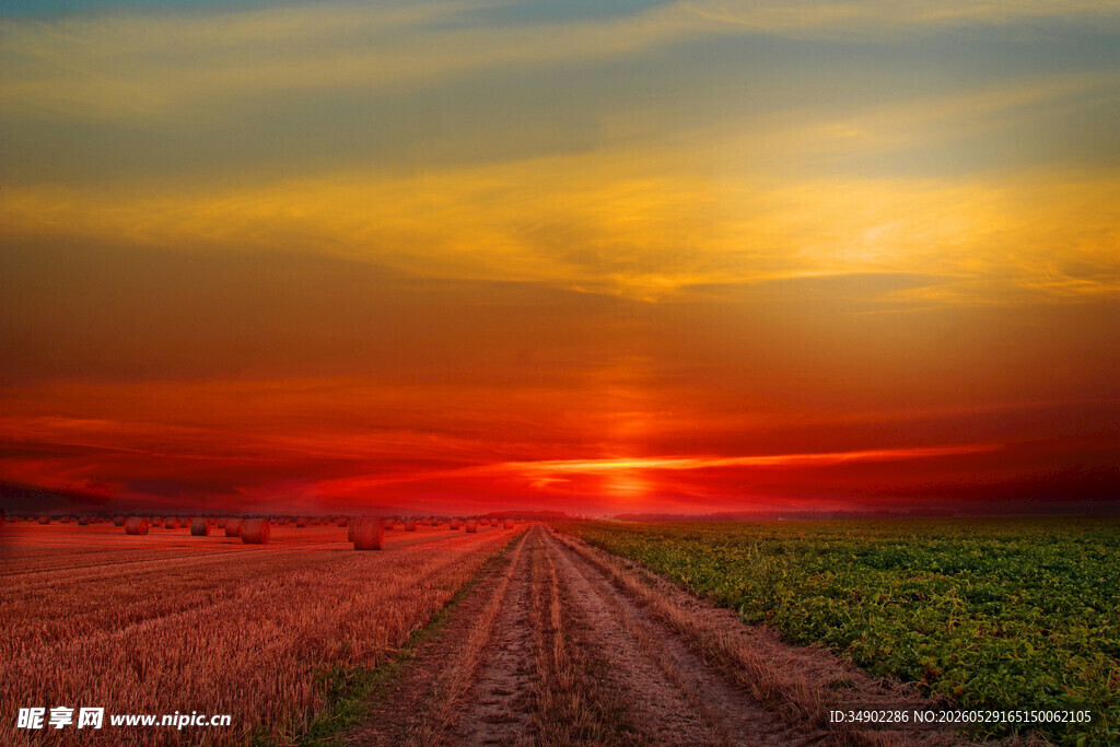 夕阳下的田野道路美景