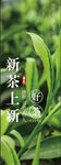 新茶上市