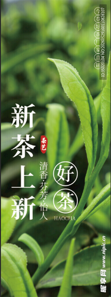 新茶上市