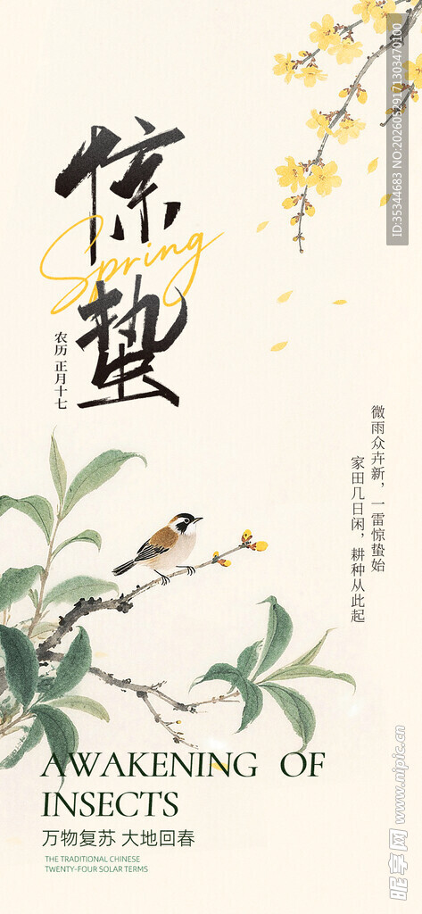 中式花鸟信笺设计插画