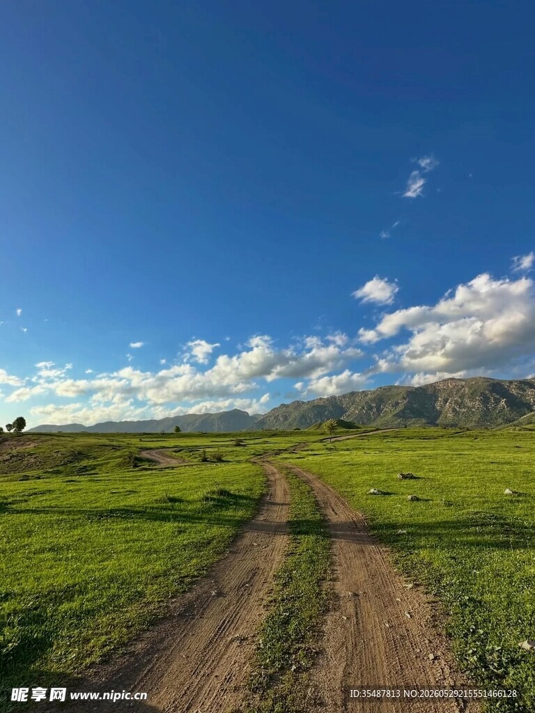 草原上的泥土小路