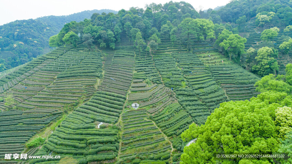 层层叠翠的美丽山间梯田