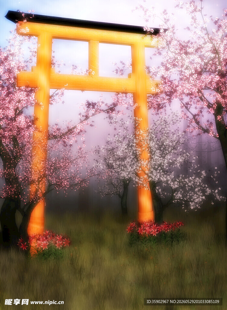 日式鸟居与烂漫樱花