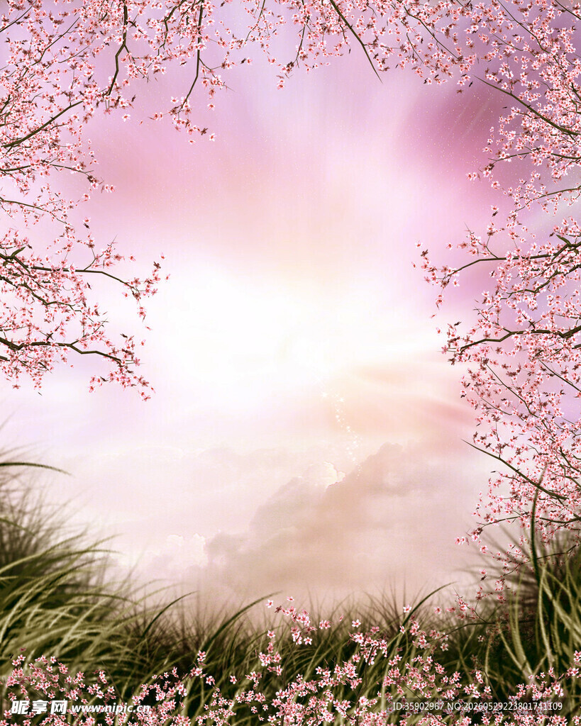 梦幻春日樱花草地美景