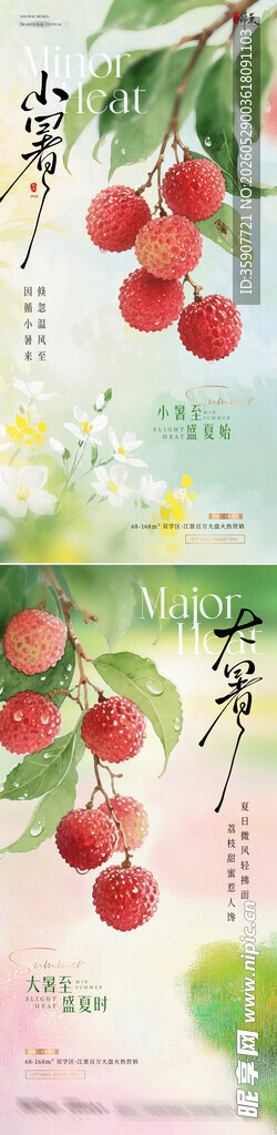 小暑大暑荔枝花卉清新海报