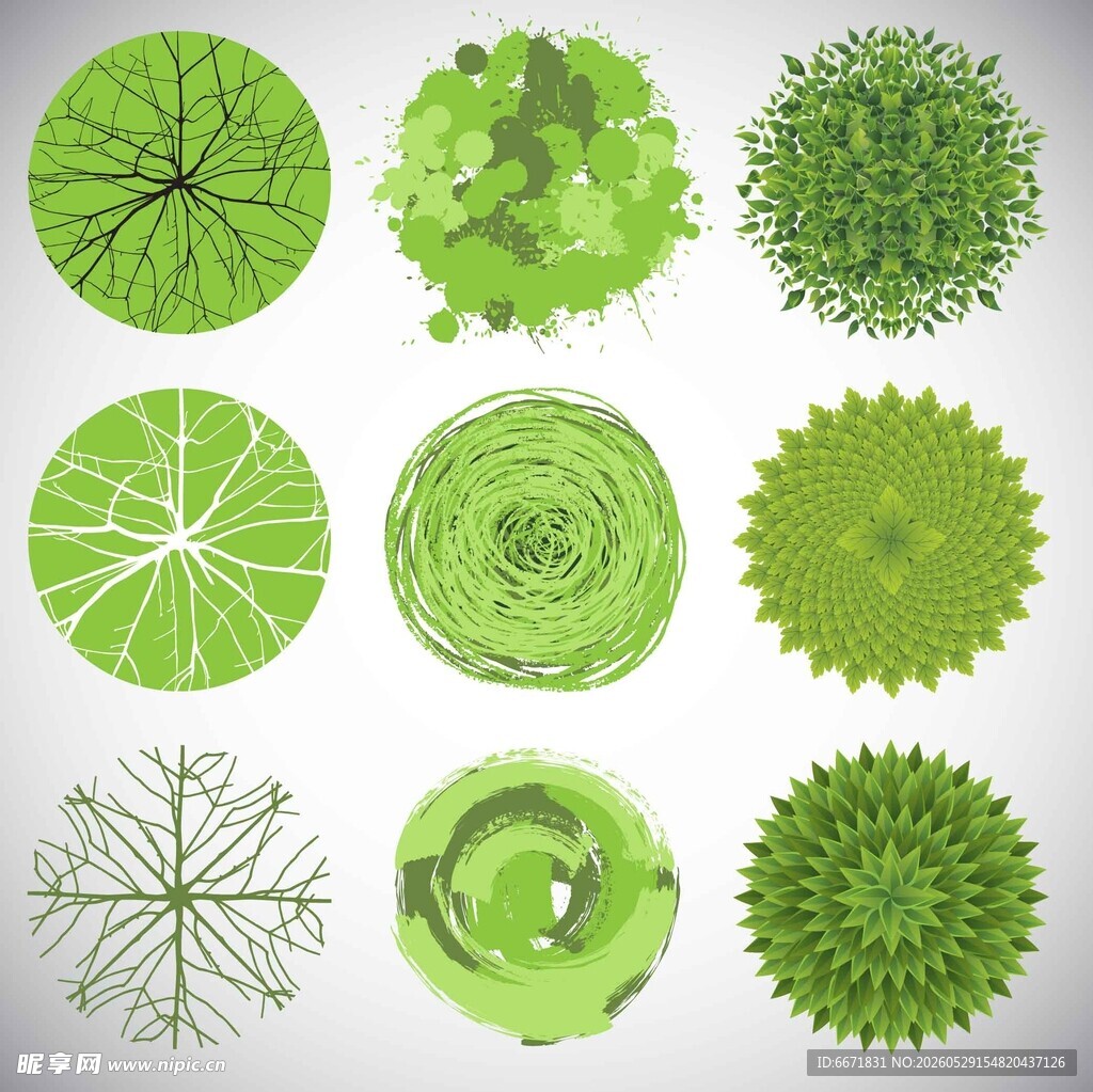绿色植物顶视图矢量素材
