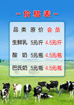 生鲜奶类价格表优惠信息