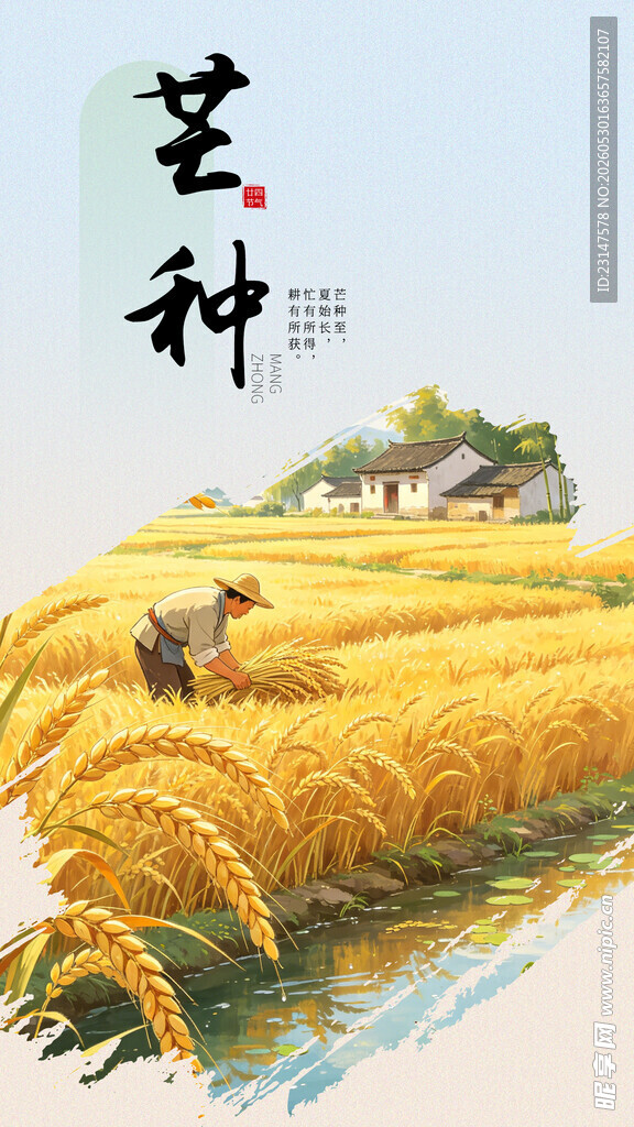 芒种