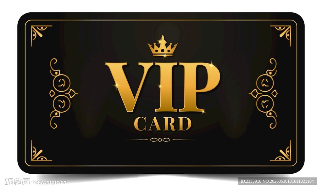 VIP 会员卡片