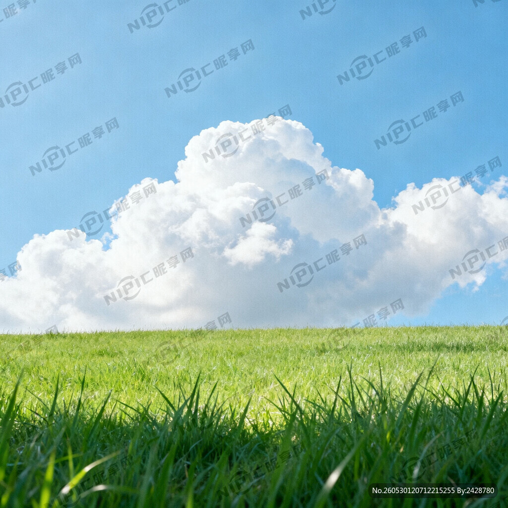 在户外玩的画面 有草地 蓝