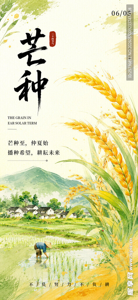 芒种 