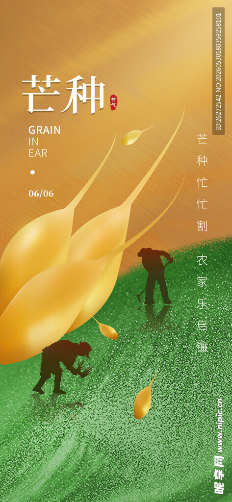 芒种海报