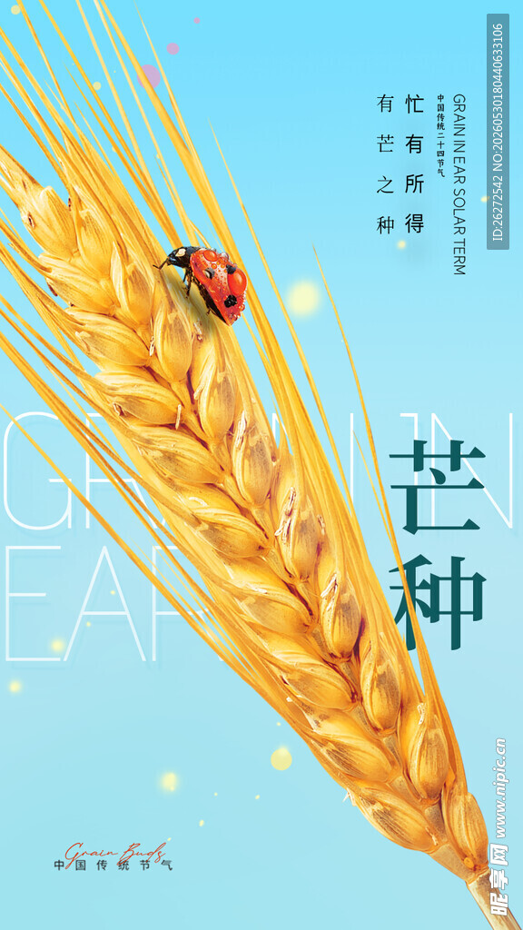 芒种海报