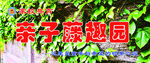亲子藤趣园景观