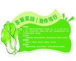 绿色菜园 健康随行