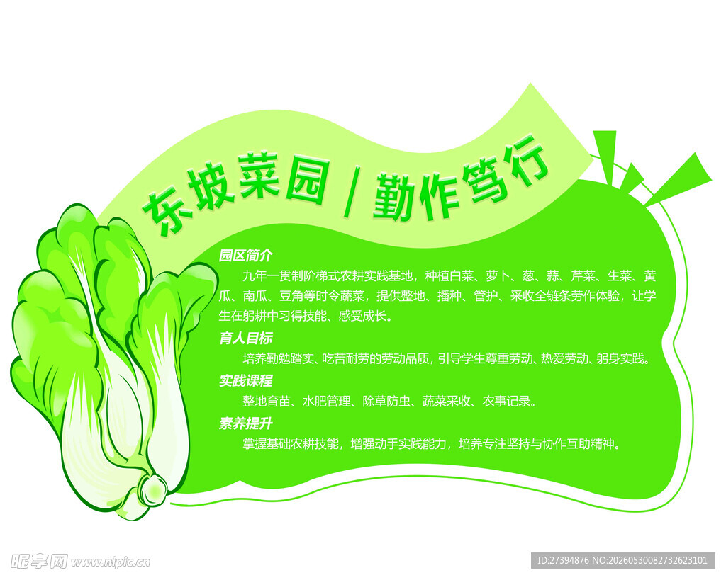 绿色菜园 健康随行