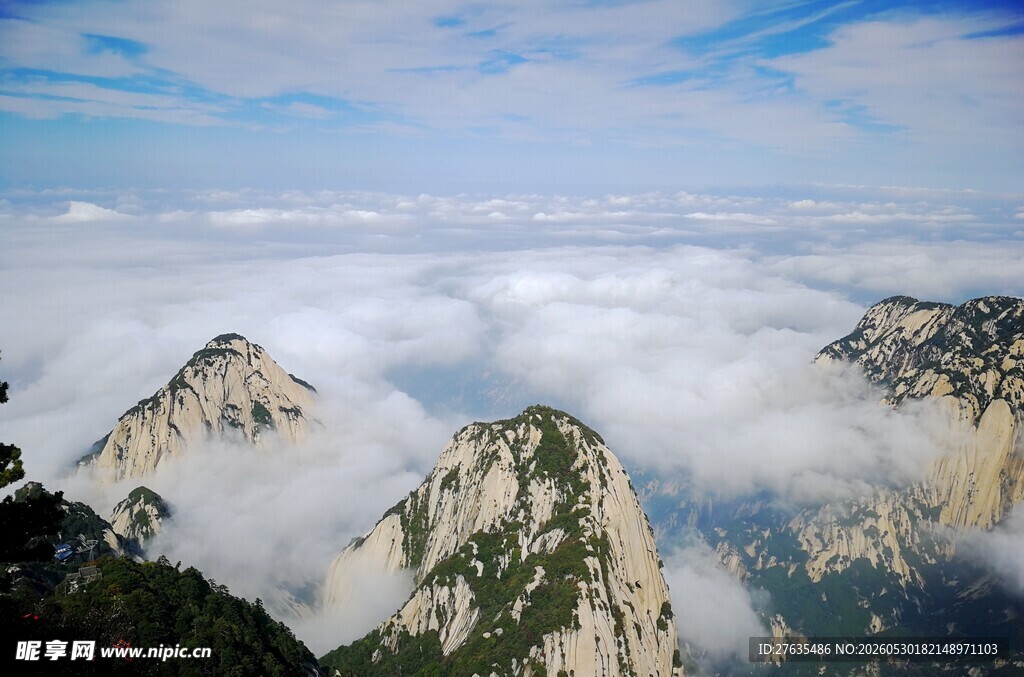 华山云海壮丽景观