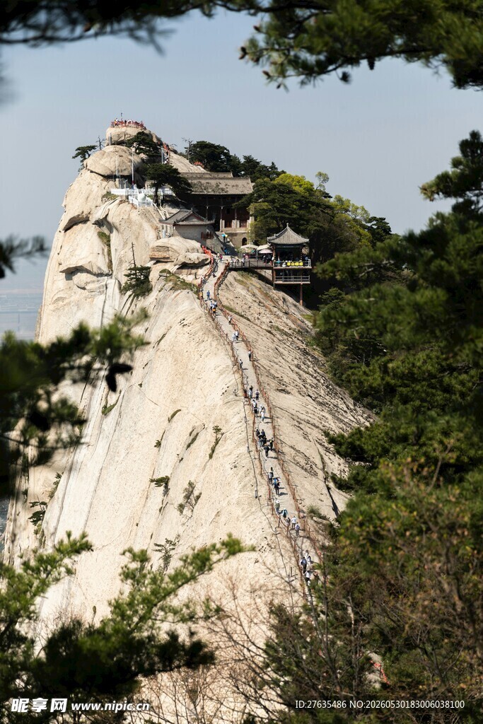 巍峨山石旁的葱郁林木