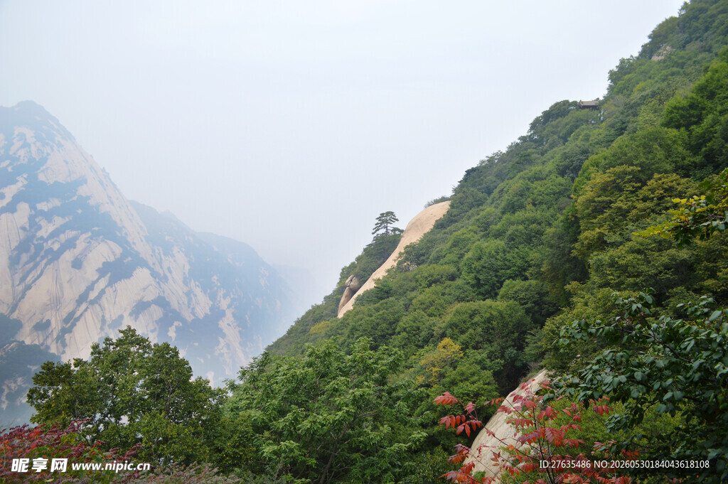 山间葱郁景色