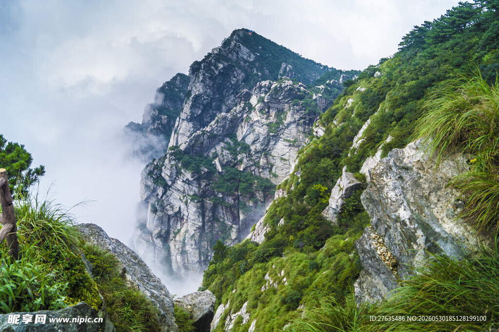 巍峨青山云雾间