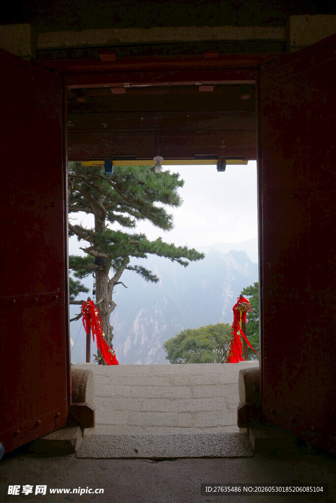 透过门扉望青松美景
